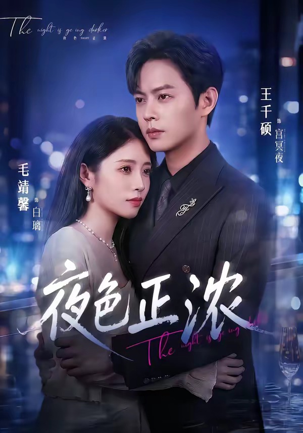 夜色正浓封面图
