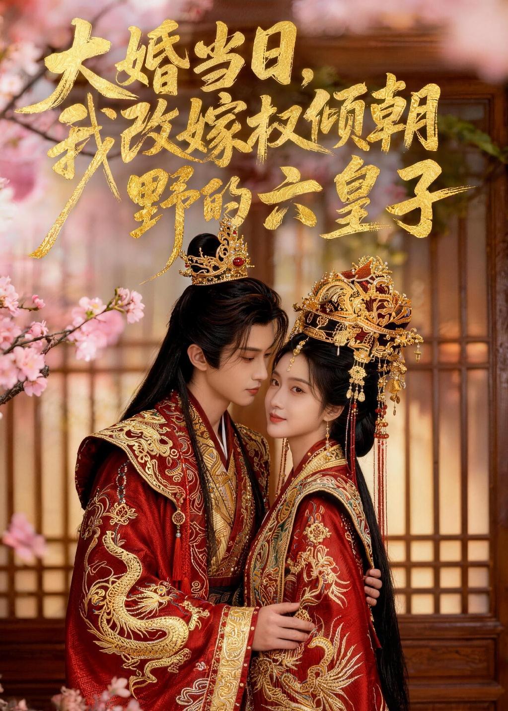大婚当日，我改嫁权倾朝野的六皇子封面图