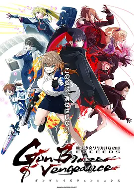 魔法少女奈叶EXCEEDS GUN封面图