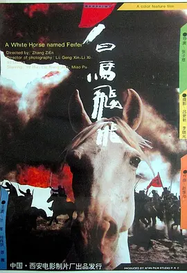 白马飞飞[电影解说]封面图