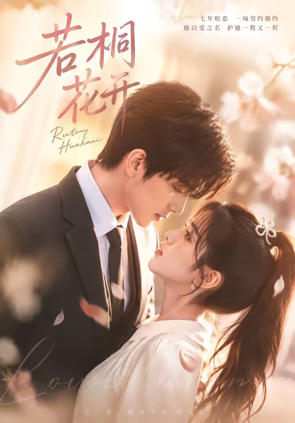 若桐花开封面图