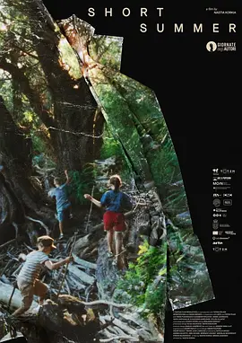 短暂的夏天封面图