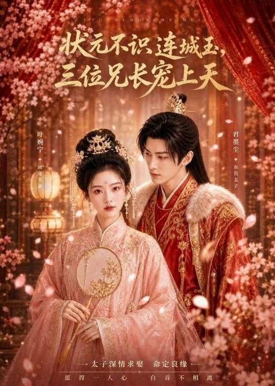 状元不识连城玉，三位兄长宠上天封面图