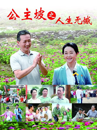公主坡之人生无憾封面图