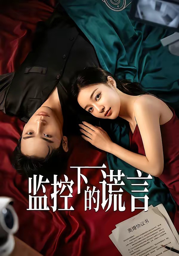 监控下的谎言  Ai封面图