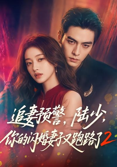 追妻预警，陆少，你的闪婚妻子又跑路了2封面图