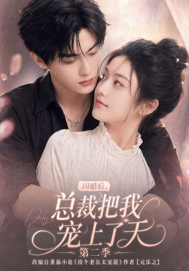闪婚后，总裁把我宠上了天第二季封面图
