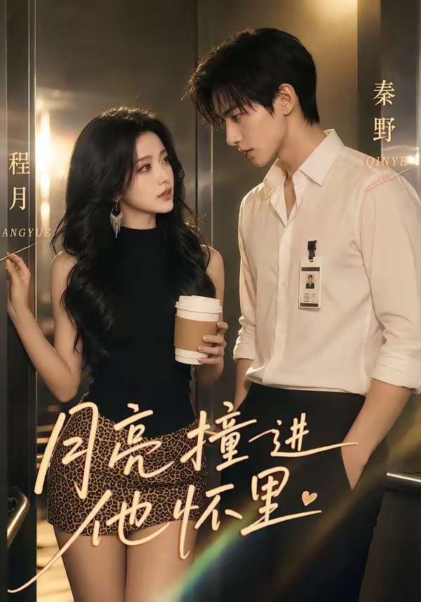 月亮撞进他怀里封面图