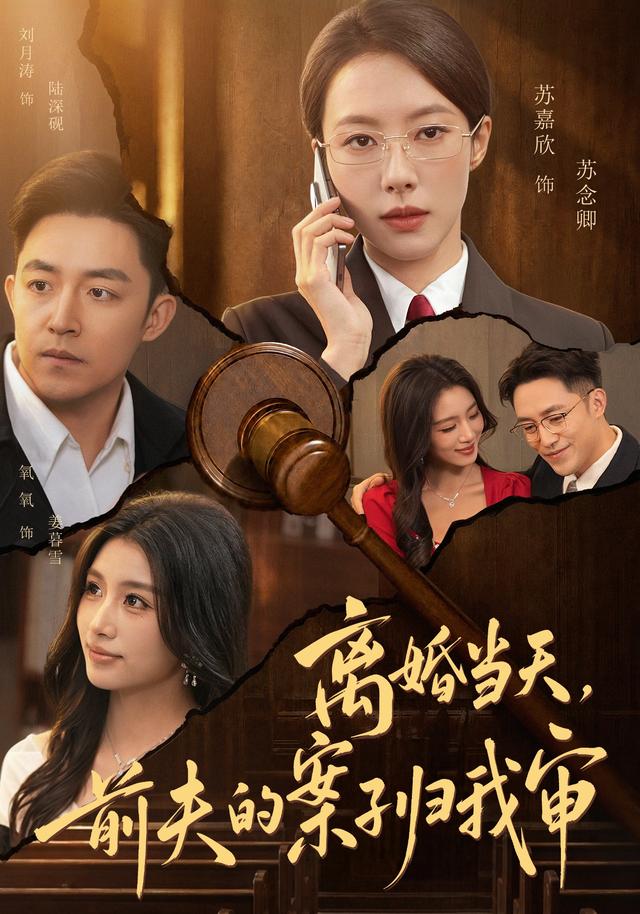 离婚当天,前夫的案子归我审封面图